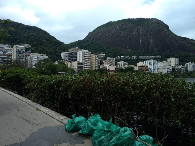 Recuperação Ambiental do Entorno da Lagoa Rodrigo de Freitas